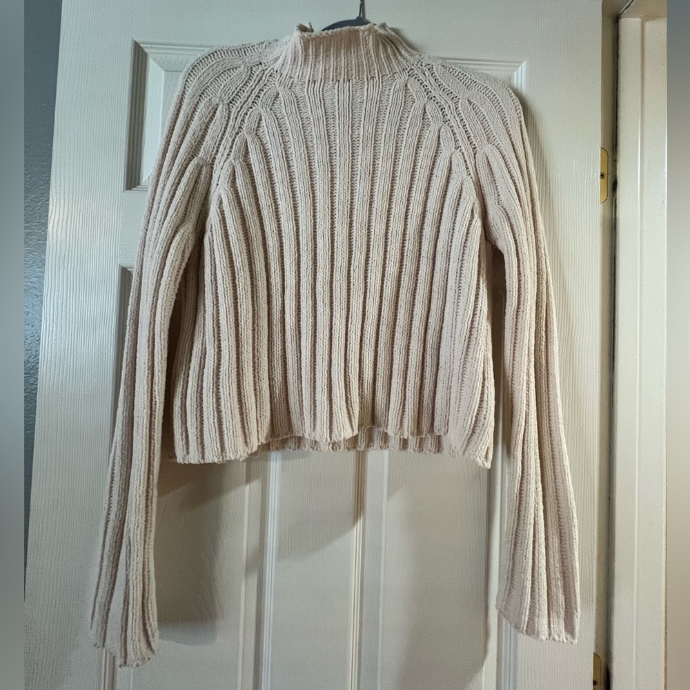 American Eagle Turtleneck